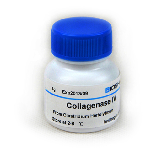 胶原酶II型,Invitrogen分装 Collagenase II